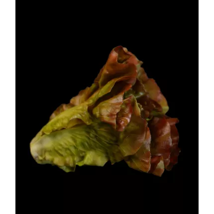 Salade LAITUE artificielle verte ou brune 16 cm