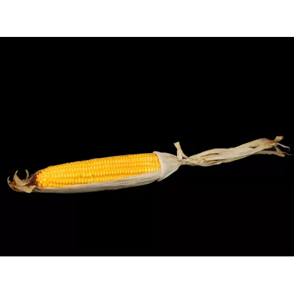 Maïs artificiel 42 cm