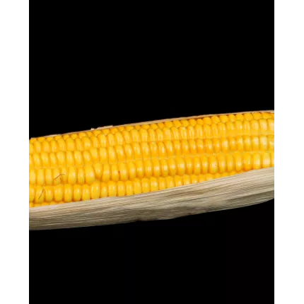 épis de Maïs artificiel 42 cm