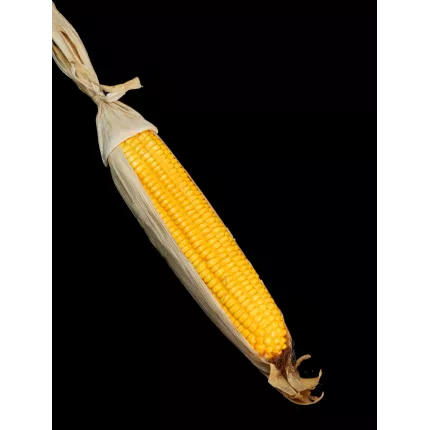 Maïs artificiel 42 cm