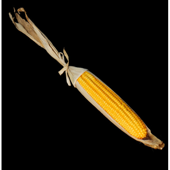 Maïs artificiel 42 cm