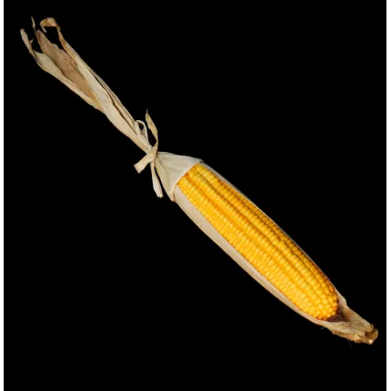 Maïs artificiel 42 cm de profil