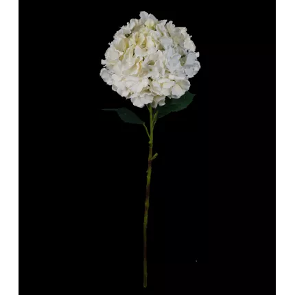 HORTENSIA artificielle 90 cm crème en tige