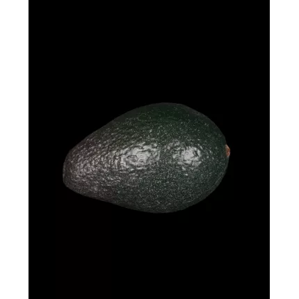 AVOCAT artificiel 10,5 cm de face