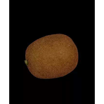 KIWI artificiel 7,5 cm de dos