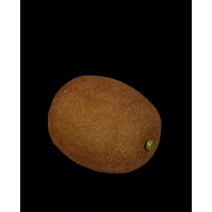 KIWI artificiel 7,5 cm