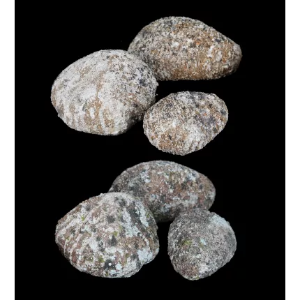 faux cailloux 3 pièces  de 12 cm à 15 cm