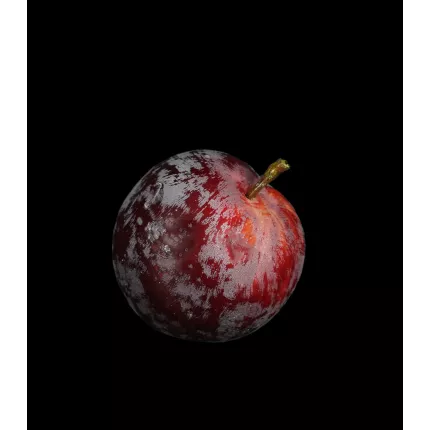 PRUNE artificielle 7,5 cm sur fond noir