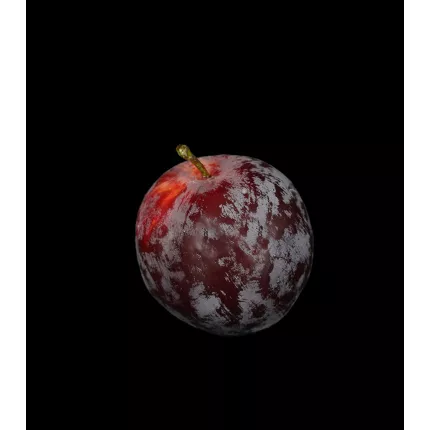 PRUNE artificielle 7,5 cm de profil