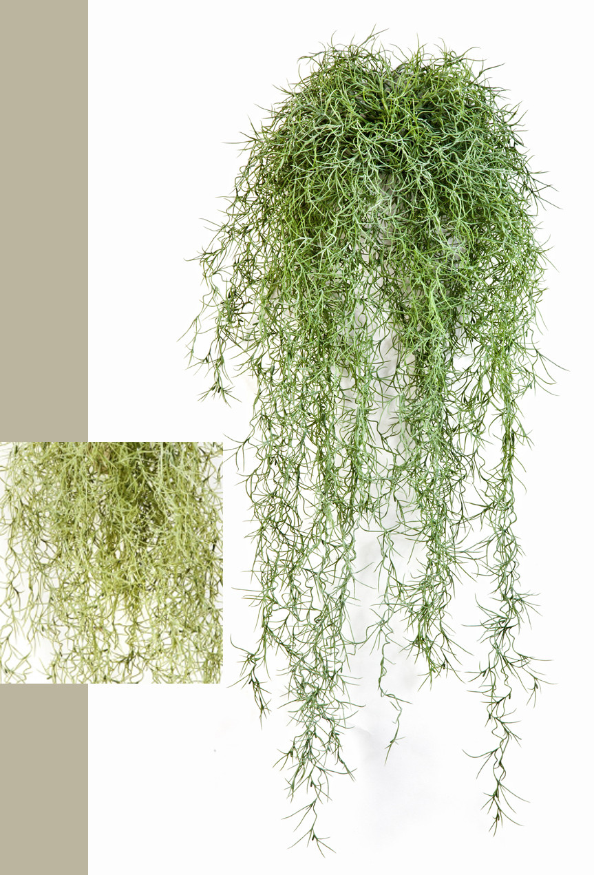 Tillandsia artificiel vert 80 cm - plantes pendantes et rampantes