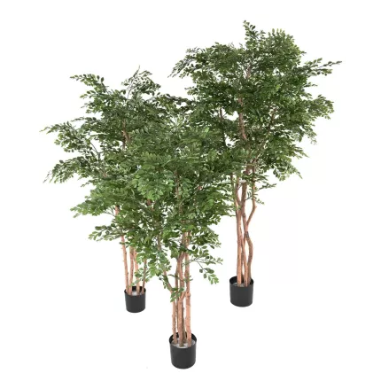 ACACIA artificiel 150 à 210 cm