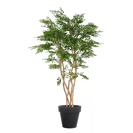 ACACIA artificiel 180 cm