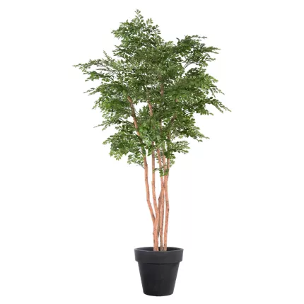 ACACIA artificiel 210 cm