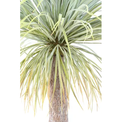 feuillage AGAVE artificiel géant 240 cm