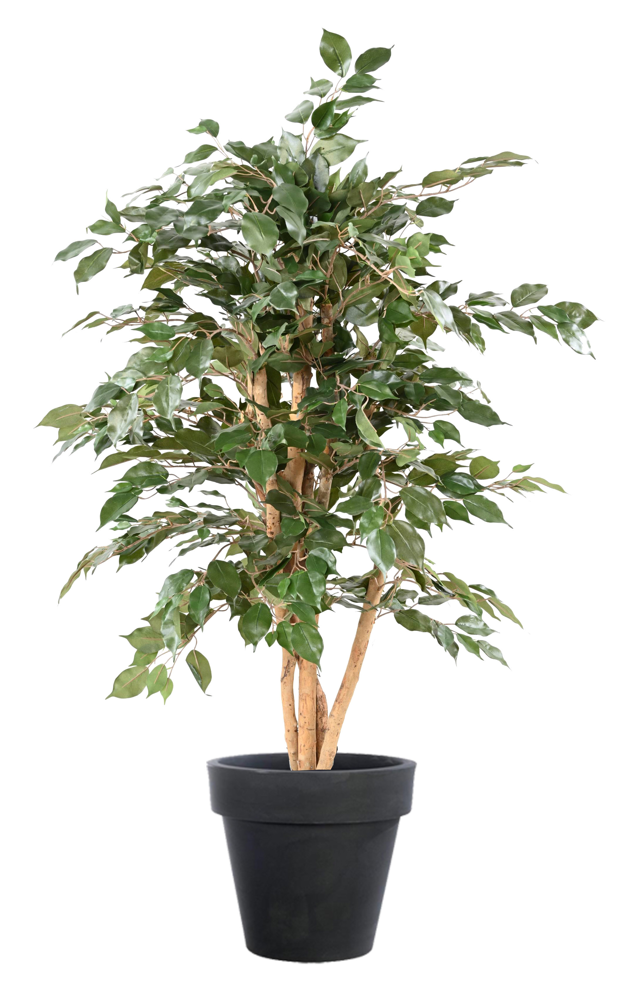 Plante Artificielle 1m50 Ficus