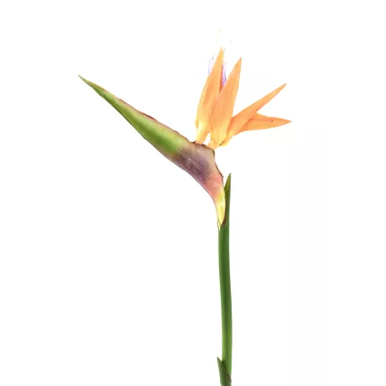 STRELITZIA ARTIFICIEL 80 cm