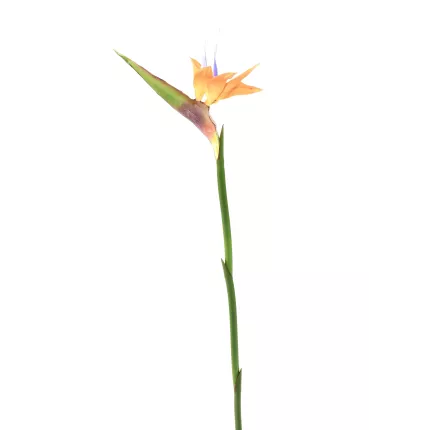 STRELITZIA ARTIFICIEL 80 cm