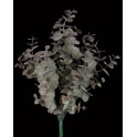bouquet artificiel EUCALYPTUS 35 cm