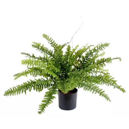 FOUGERE artificielle boston fine diam 60 cm en pot