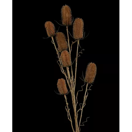 CHARDON artificiel 110 cm esprit sec détails