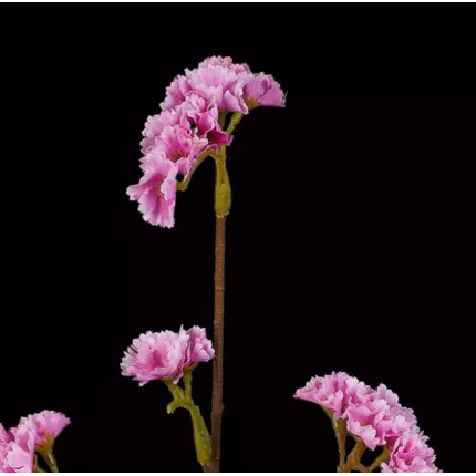 fleurs statice artificiel rose 68 cm