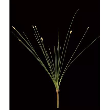 piquet HERBE Allium artificielle 77 cm