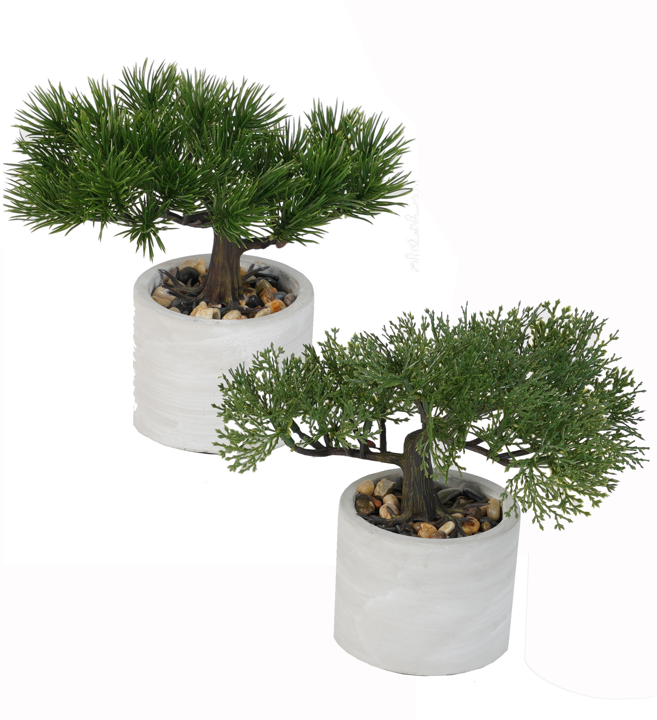Très grand pot pour bonsaï , plante succulente ou composition