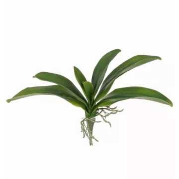 feuille PHALAENOPSIS artificielle 34 cm