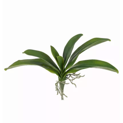 feuille PHALAENOPSIS artificielle 34 cm