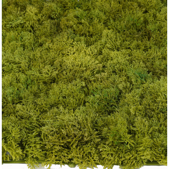Plaque de mousse island artificielle 50cm x 50 cm