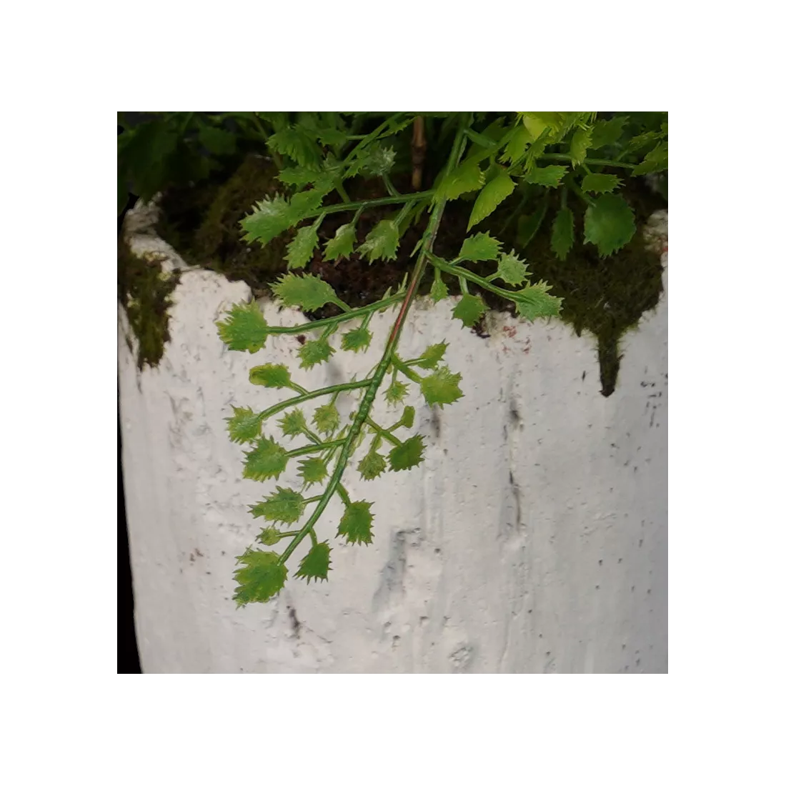 FOUGERE artificielle Adianthum 35 cm en pot