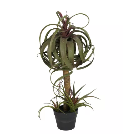 TILLANDSIA STREPTOPHYLLA artificiel 82 cm de profil
