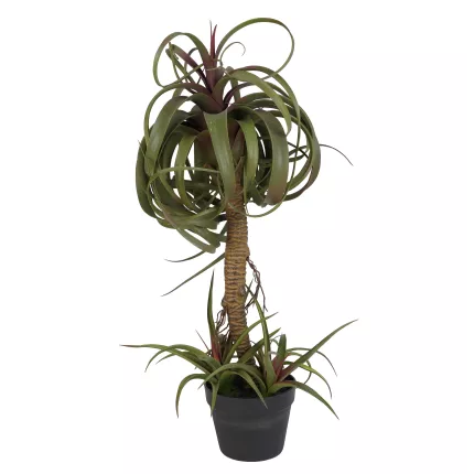 TILLANDSIA STREPTOPHYLLA artificiel 82 cm de face