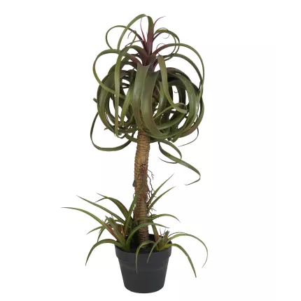 TILLANDSIA STREPTOPHYLLA artificiel 82 cm de coté