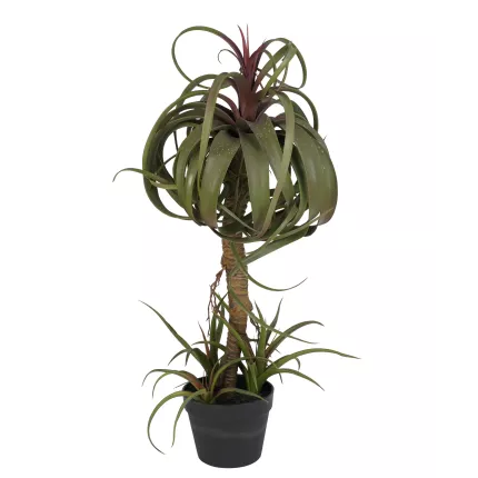 TILLANDSIA STREPTOPHYLLA artificiel 82 cm