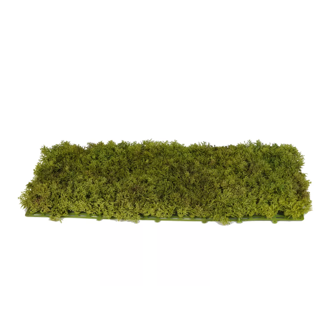 30/50g vert fausse mousse bricolage artisanat herbe mousse artificielle Faux mousse conservée plante verte maison chambre jardin décor paysage herbe  15