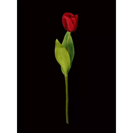 TULIPE artificielle 41 cm-modèle entier