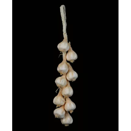 tresse d'ail artificielle 50 cm