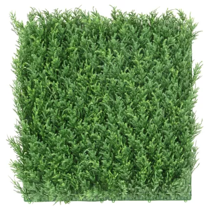 CYPRES PLAQUE 50 cm x 50cm