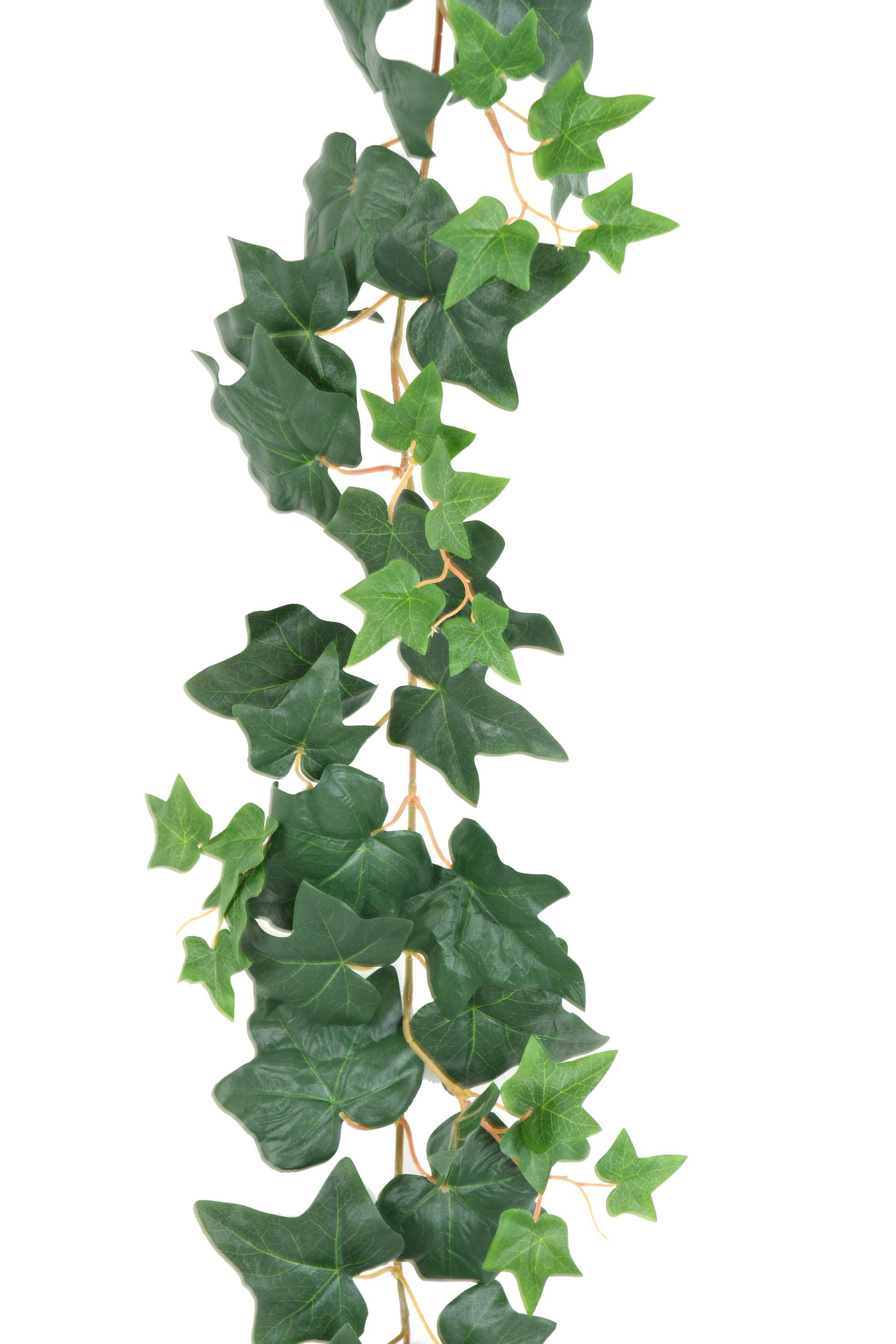Guirlande lierre anglais artificielle 190 cm - guirlandes végétales