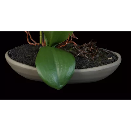 pot composition ORCHIDEE artificielle 18 cm