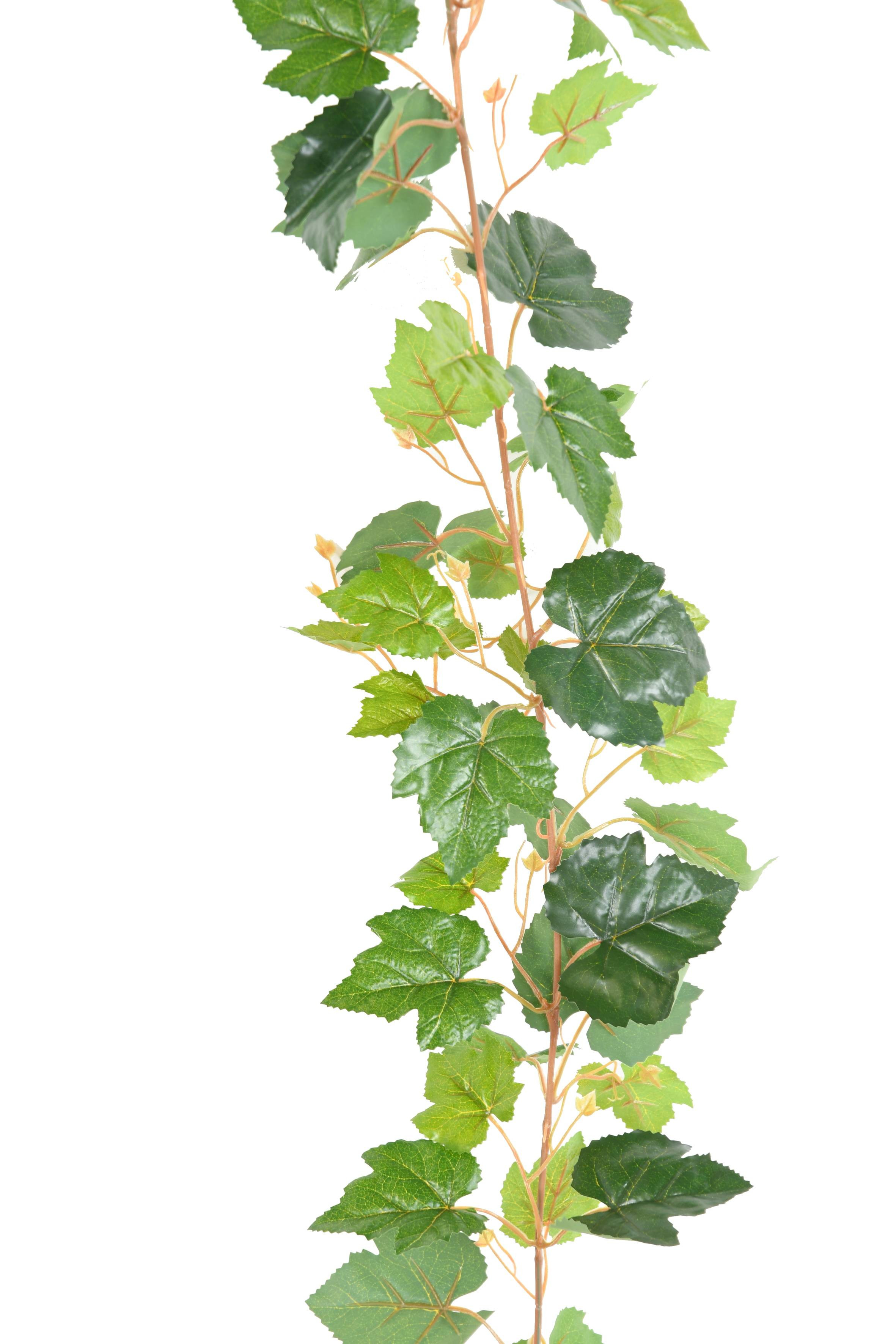Acheter des Guirlande de feuilles de vigne artificielle TARON, vert, 150cm  - Fausses plantes