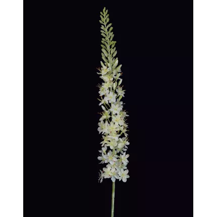 EREMUS ou LIS DES STEPPES artificiel blanc 107 cm