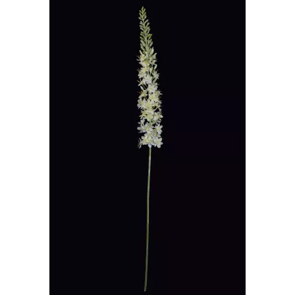 EREMUS ou LIS DES STEPPES artificiel blanc 107 cm en tige