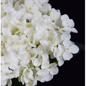 Tête de l'HORTENSIA blanc artificiel 52 cm