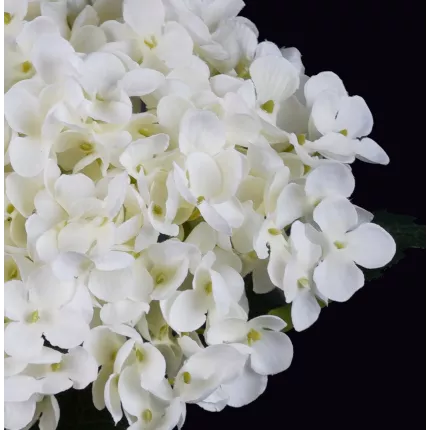 Tête de l'HORTENSIA blanc artificiel 52 cm