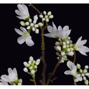 fleurette d'HEPACODIUM artificiel ou seven son flower 52 cm - détail des fleurons et bourgeons