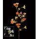 HEPACODIUM artificiel ou seven son flower 52 cm