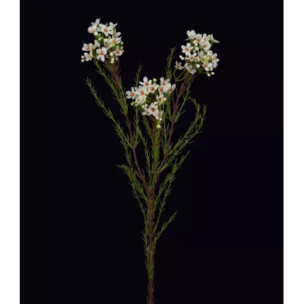 WAX artificiel ou fleur de cire blanc 78 cm