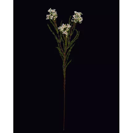 WAX artificiel ou fleur de cire blanc 78 cm